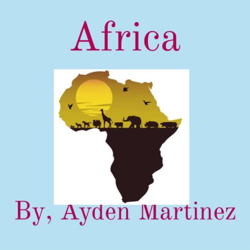 Ayden's Africa Investigation