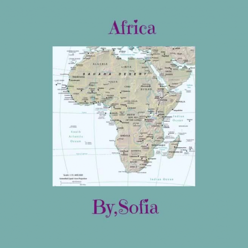 Sofia's Africa Investigation