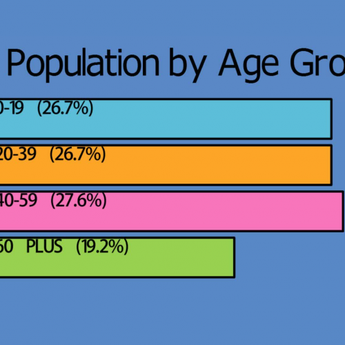 USA Demographics Animation