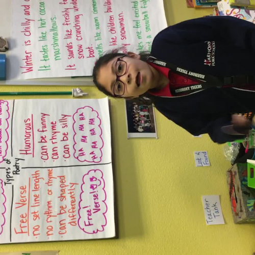 Third Grade Types of Poetry