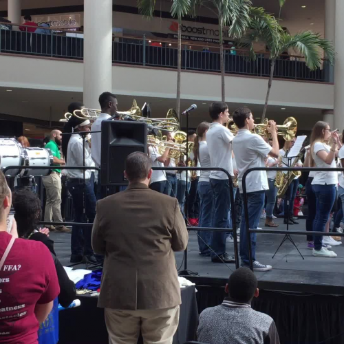 SCCPSS Honor Marching Band Jan 7 2017