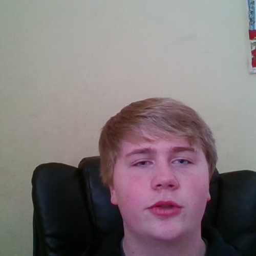 03.02 describing  the family visual presentation