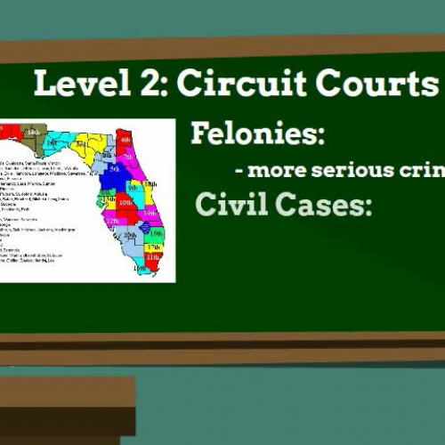 SS.7.C.3.11 and 2.6 State Courts