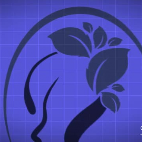 hair styling in just a few seconds