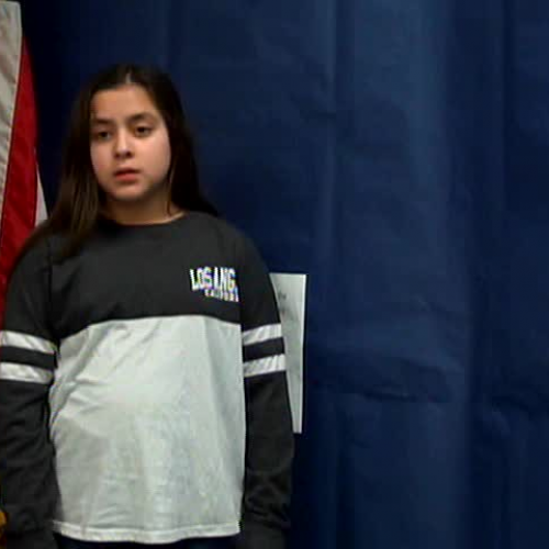 Wednesday, January 18, 2017, WVES Wildcat News