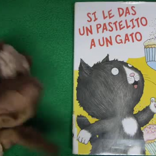 Si Le Das Un Pastelito A Un Gato