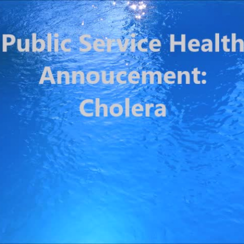 Cholera PSHA