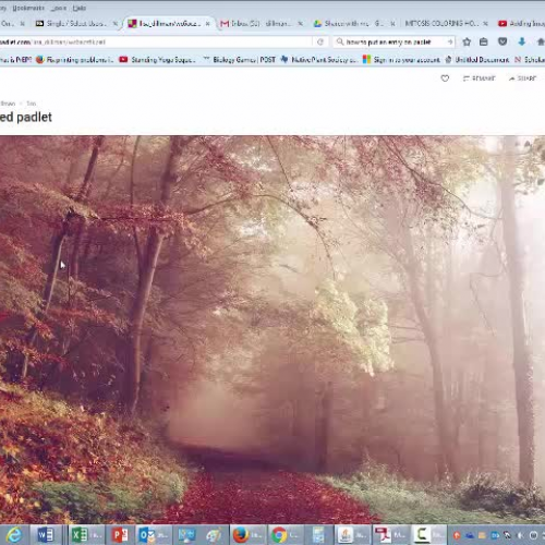How to post and entry in Padlet