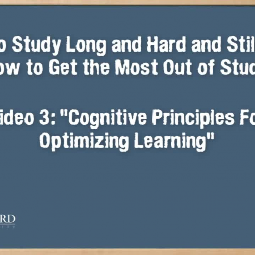 Cognitive Principles for Optimizing Learning