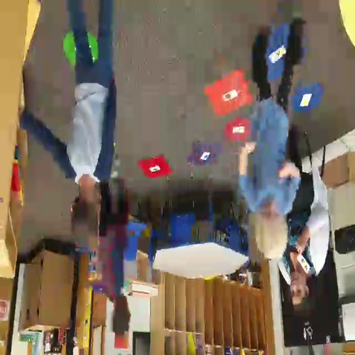 shallayne beginning reading rhyming lesson 