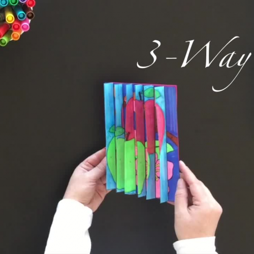 3-Way Agamograph Instructions