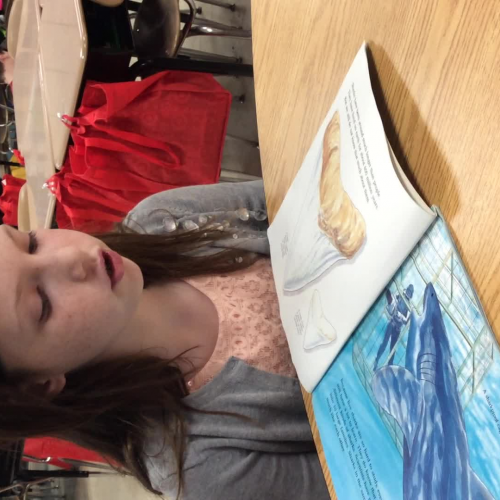 Katie Reading Fluency