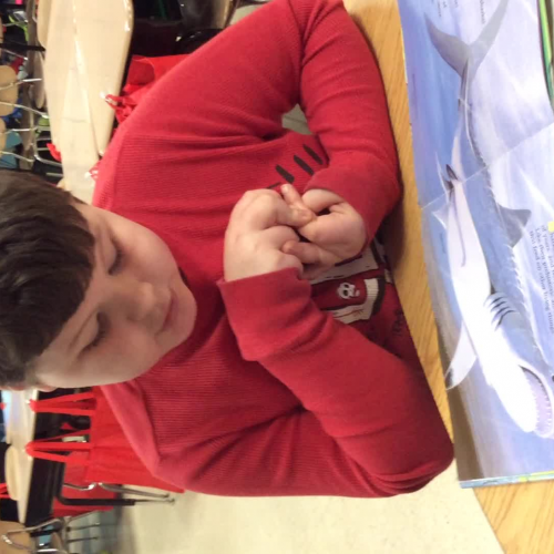 Dominick Reading Fluency 2