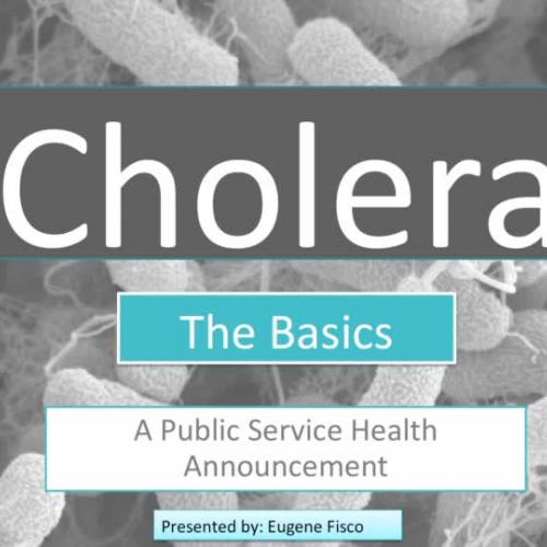 Cholera PSHA