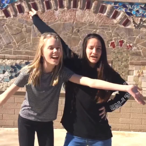 DV StuCo Charity Week Info