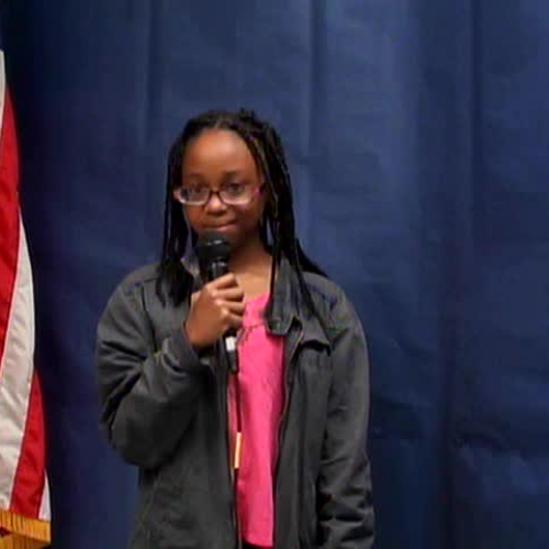 Thursday, January 26, 2017, WVES Wildcat News