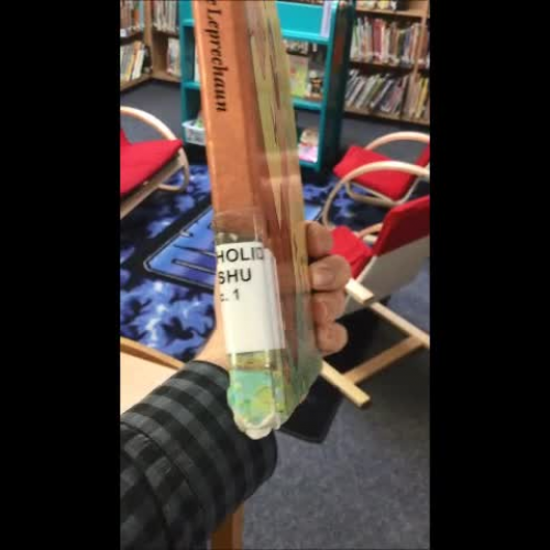 Shelving a Holiday Book 