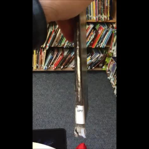 Shelving I Spy Books & Magazines 