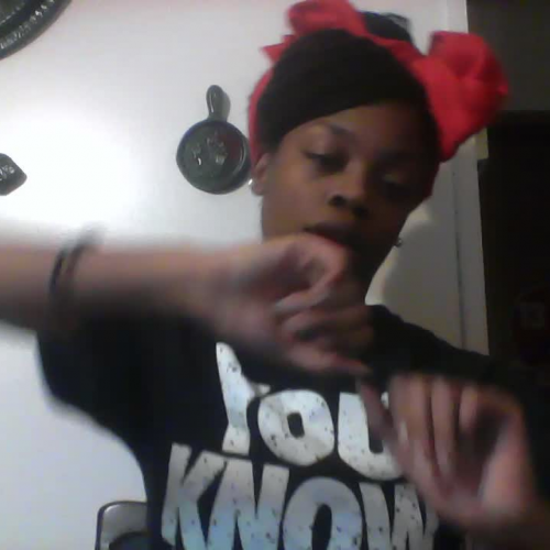 03.02 Describe The Family Visual Presentation!