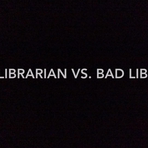Good Librarian Vs. Bad Librarian