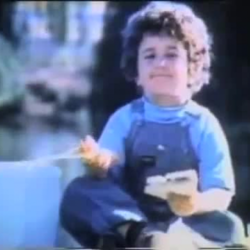 Plain Folks Persuasive Writing