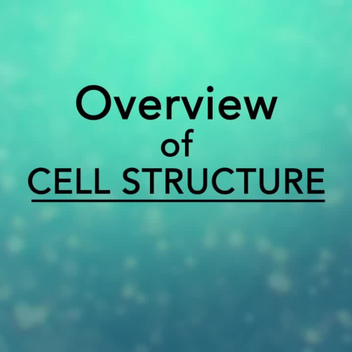 Cell Structure Overview