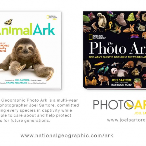 Animal Ark: Celebrating our Wild World in Poetry and Pictures