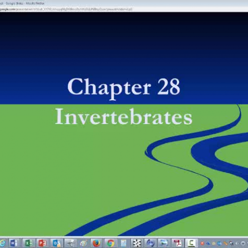 Chapter 28: Invertebrates Part I