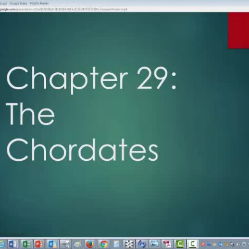 Chapter 29,: The Chordates