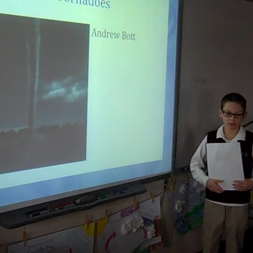 bott discovery quest