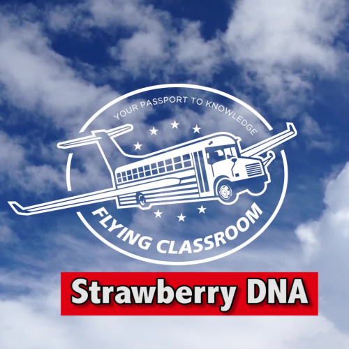 Flying Classroom - Human DNA Extract