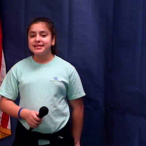 Wednesday February 22, 2017, WVES Wildcat News