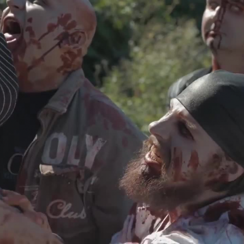 Cats VS Zombies Fight