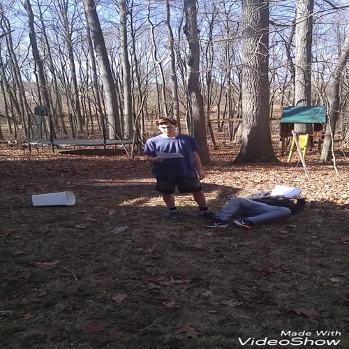 video_20170220145633142_by_videoshow