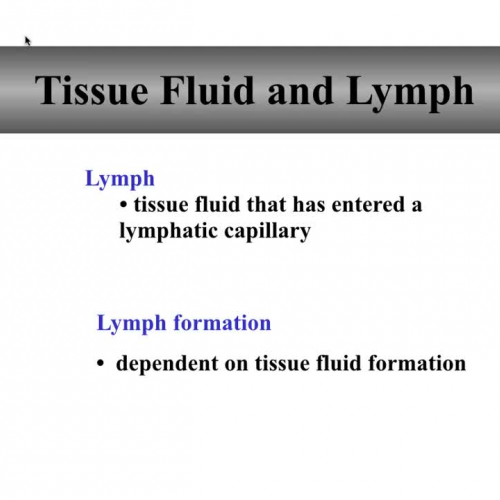 Lymph and tissue fluid