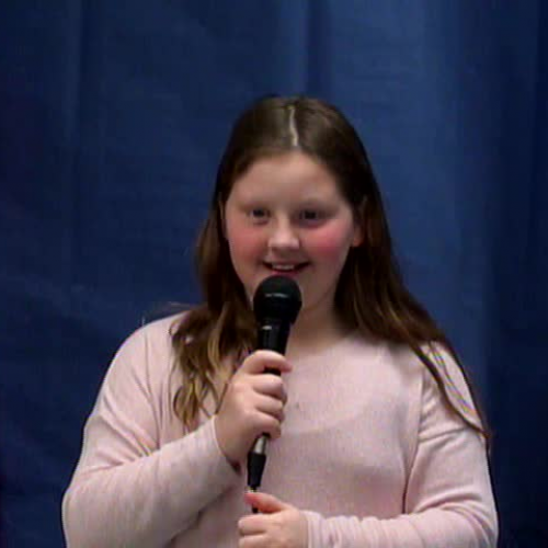 Tuesday, February 28, 2017, WVES Wildcat News