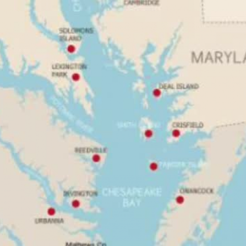 Overfishing in the Chesapeake Bay