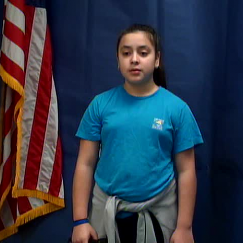 Wednesday, March 1, 2017, WVES Wildcat News