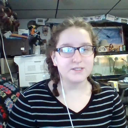 3.02 Describe the Family Visual Presentation - maisietrefryVLACS