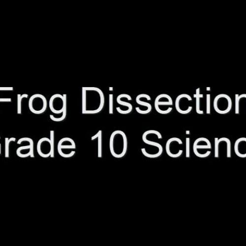 Frog Lab