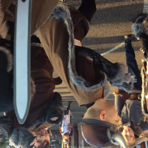 Viking  Mannequin challenge