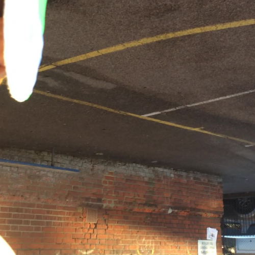 Viking  Mannequin challenge