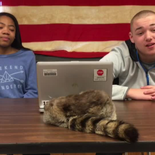 1B Marbury v. Madison