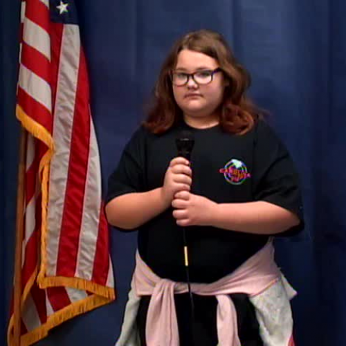 Wednesday, March 8, 2017, WVES Wildcat News