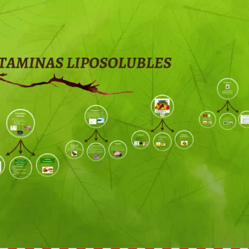 Vitaminas Liposolubles