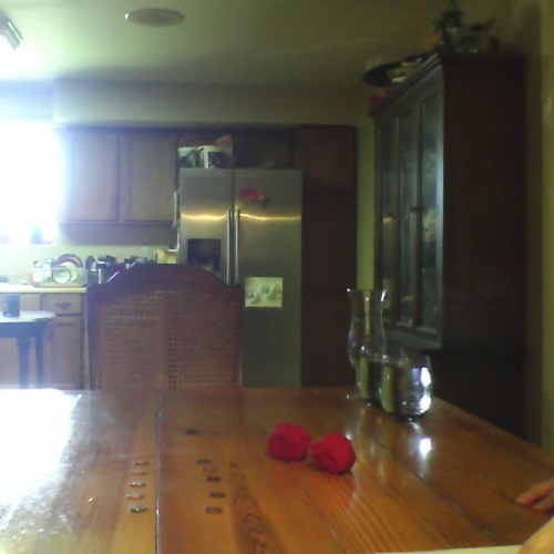 Naomi Jacobs Piagetian tasks 4-6 year old