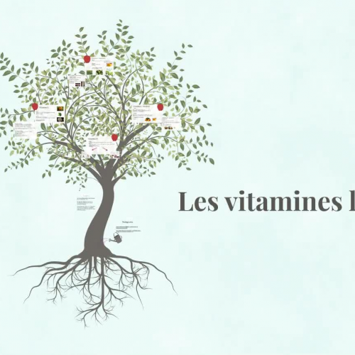 Les vitamines liposolubles