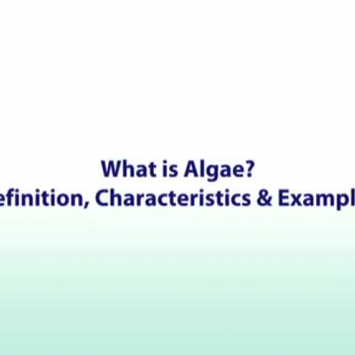 Algae I