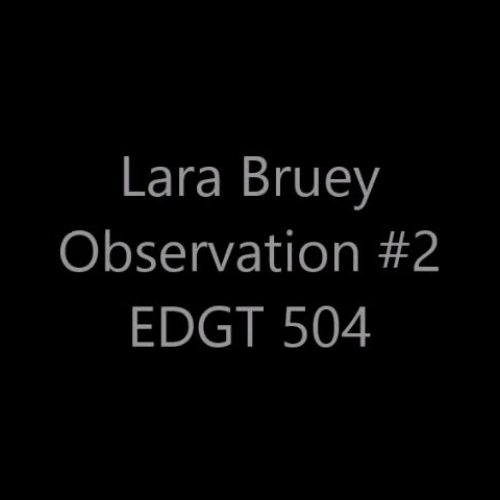 Bruey Observation Lesson 2