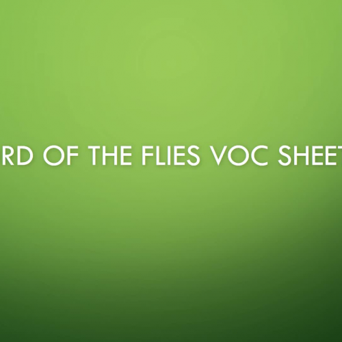 Lord of the Flies - Voc Sheet 2 - Review